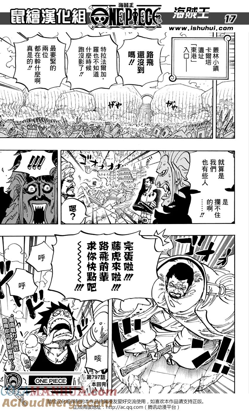 海贼王 第797话 蕾贝卡 第17页