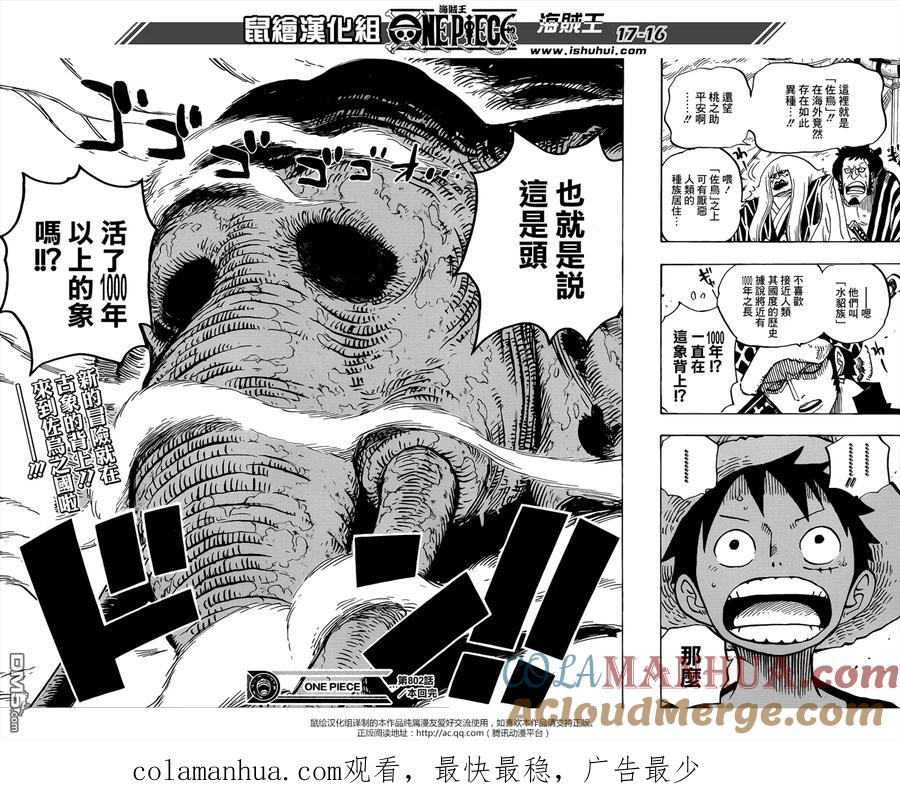 海贼王 第802话 佐鸟 第14页
