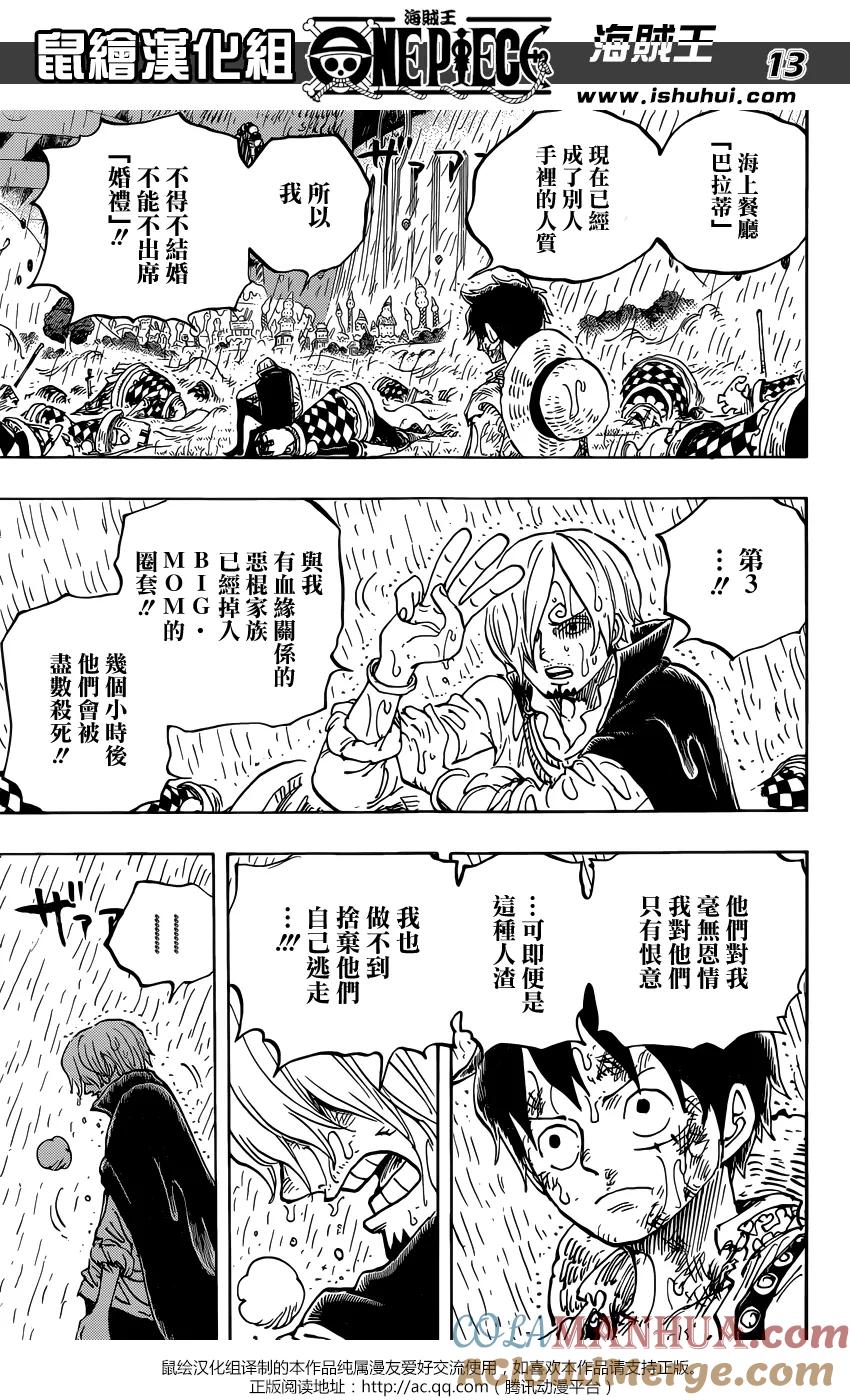 海贼王 第856话 少骗人了 第13页