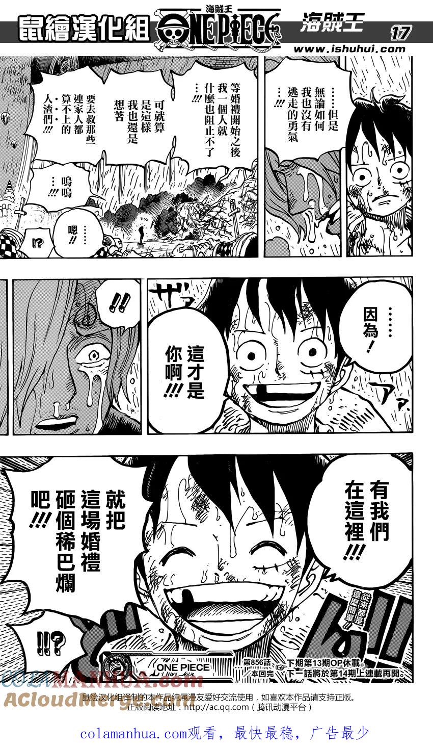 海贼王 第856话 少骗人了 第17页