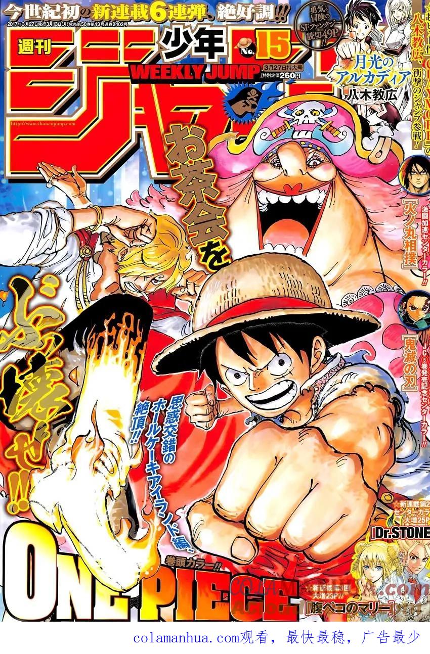 海贼王 第858话 会议 第17页