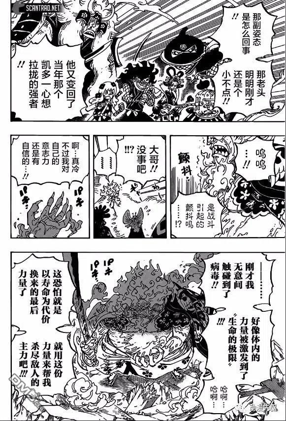 海贼王 第1006话 侠客“花之豹五郎” 第10页