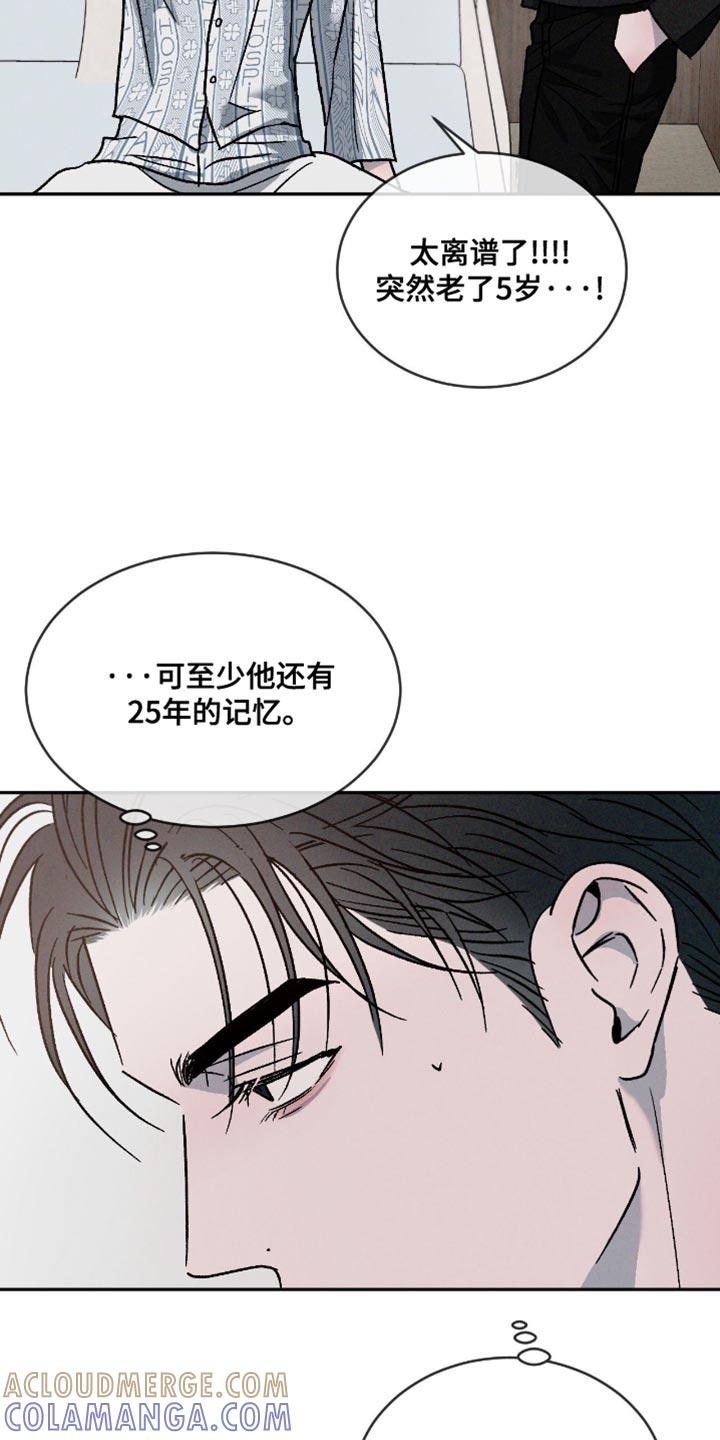 《危险建议》第157章：【番外】失忆了 第11页