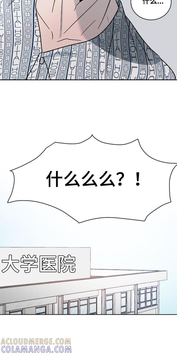 《危险建议》第158章：【番外】不能理解 第15页