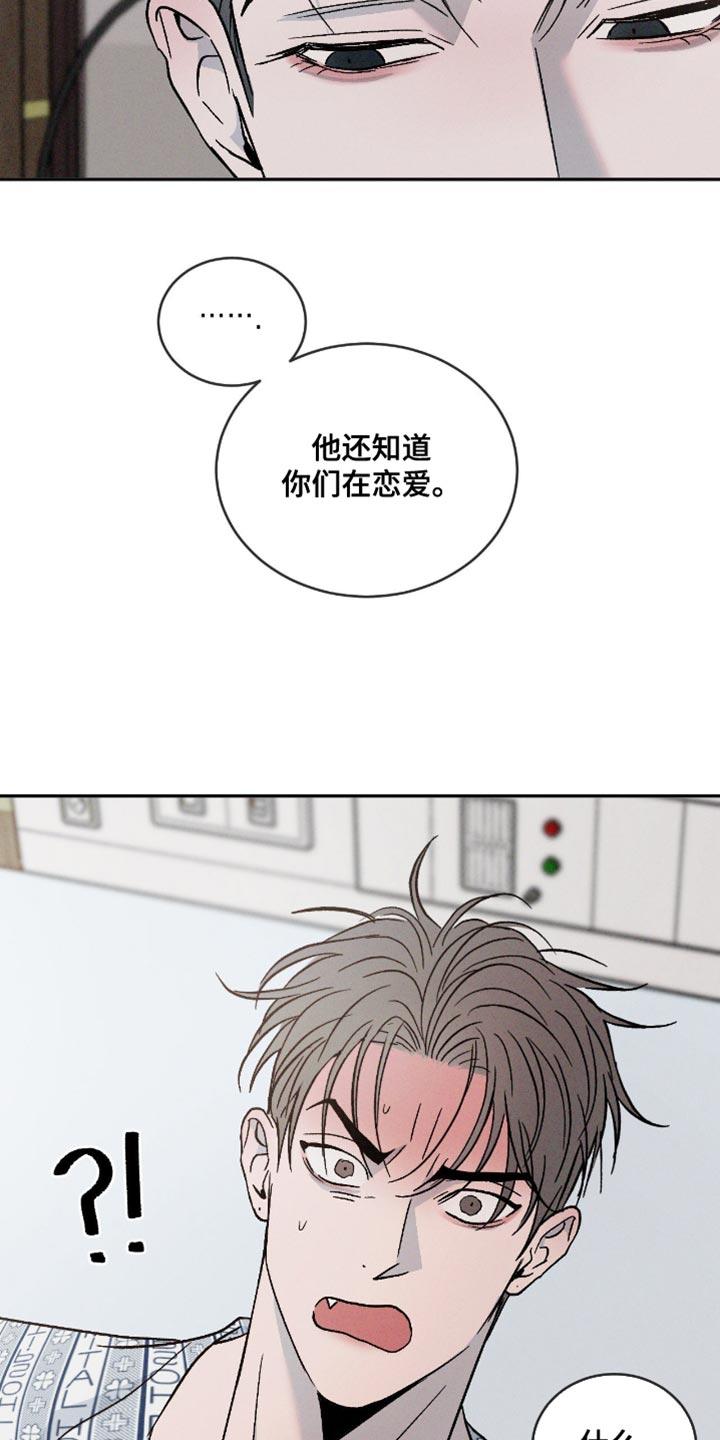 《危险建议》第158章：【番外】不能理解 第14页