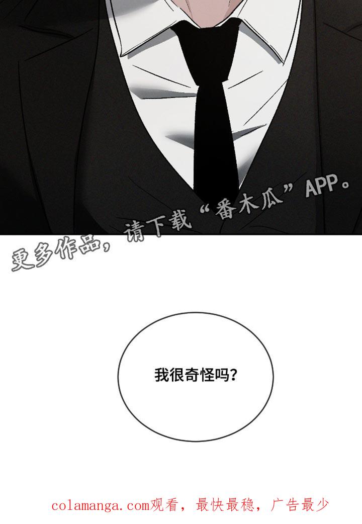 《危险建议》第159章：【番外】我很奇怪吗？ 第32页