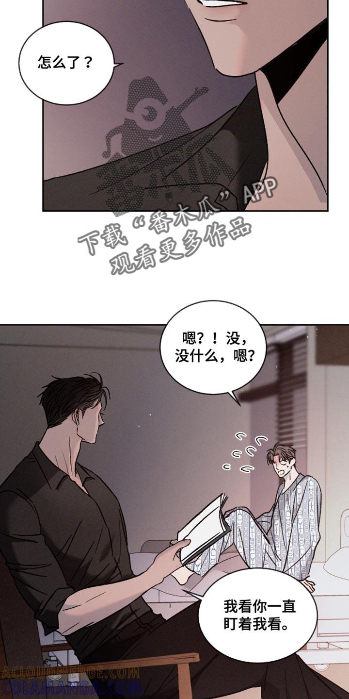 《危险建议》第159章：【番外】我很奇怪吗？ 第3页