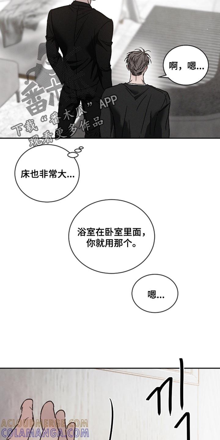 《危险建议》第160章：【番外】无法理解 第13页