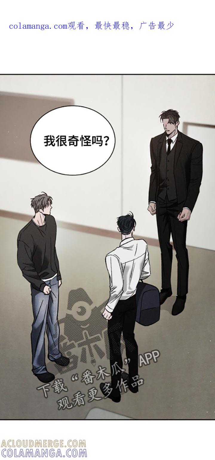 《危险建议》第160章：【番外】无法理解 第1页