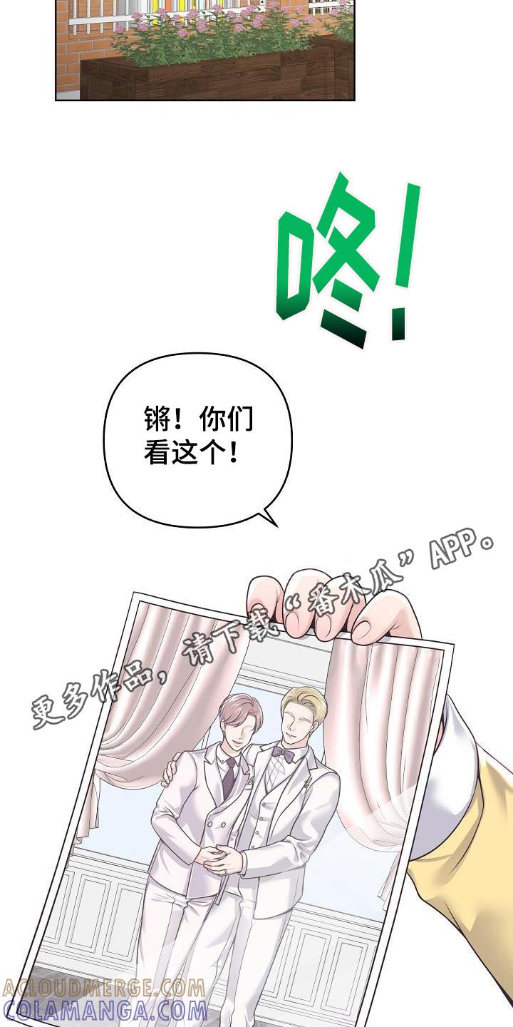 《阿尔法管家》第162章：【番外】没有结婚照 第5页