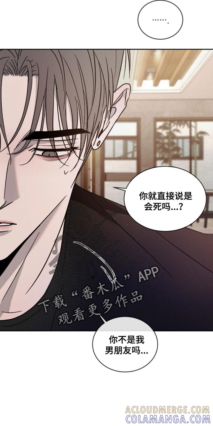 《危险建议》第163章：【番外】郁闷 第19页