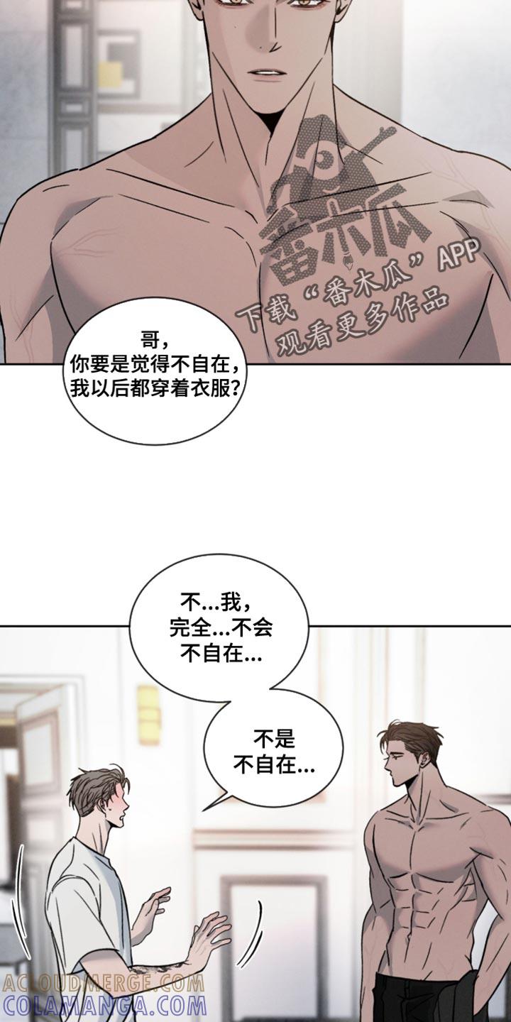 《危险建议》第164章：【番外】陌生人 第13页