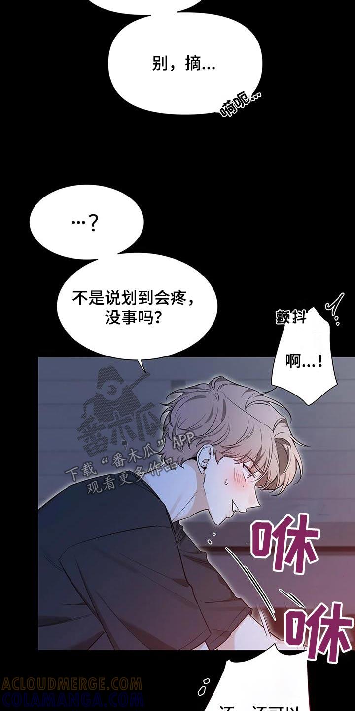 《初见心动》第179章：【第二季】冷静 第5页