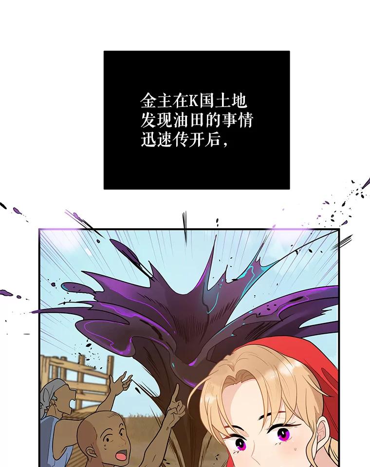《大力女子黄金主》14.失踪的南顺 第3页