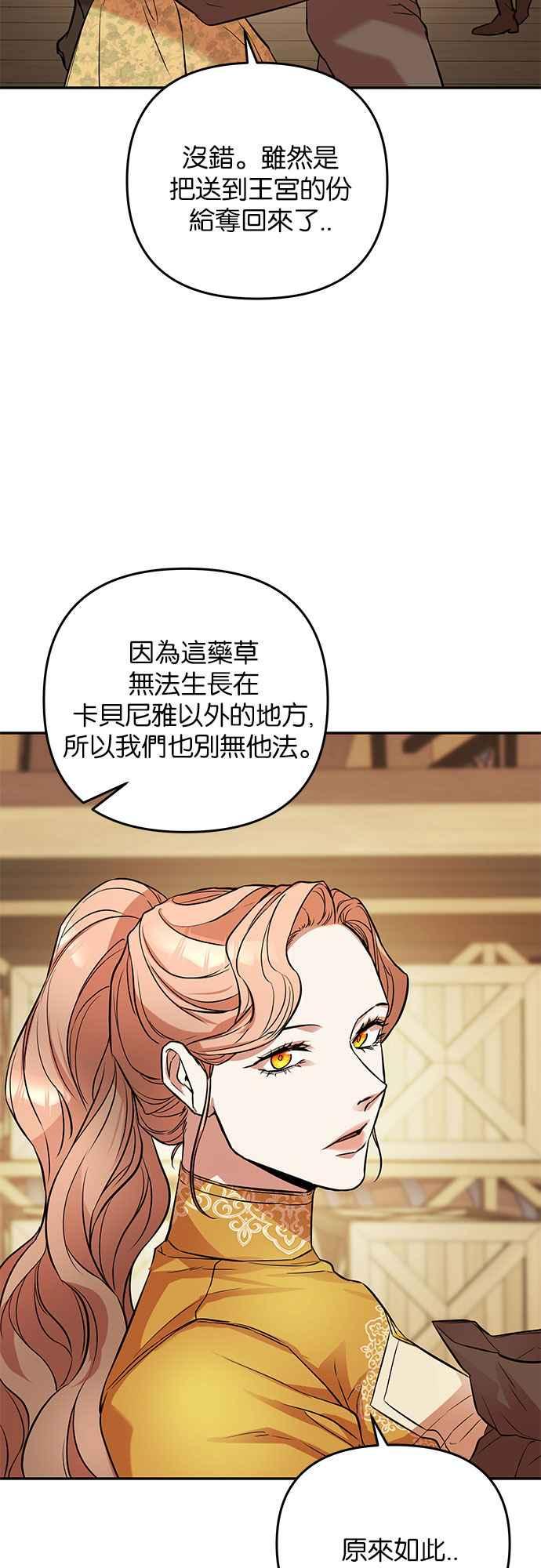 《阿加莎》[第35话] 王妃的剑（1） 第33页