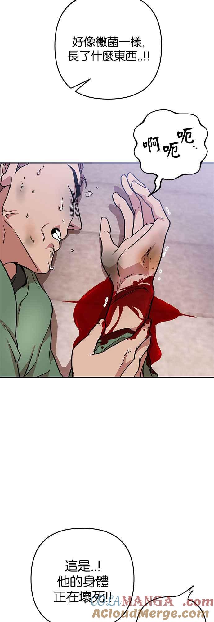 《阿加莎》[第55话] 羊群的叫声（7） 第49页