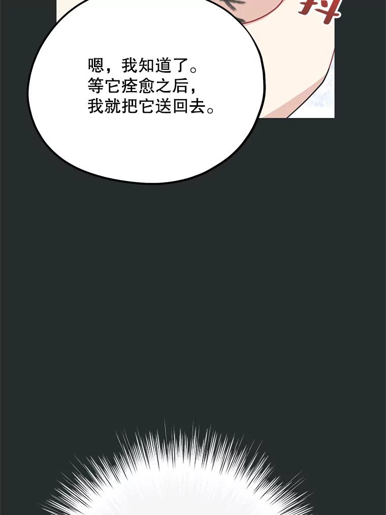 《预知未来的洛琳》65.看到过去 第84页