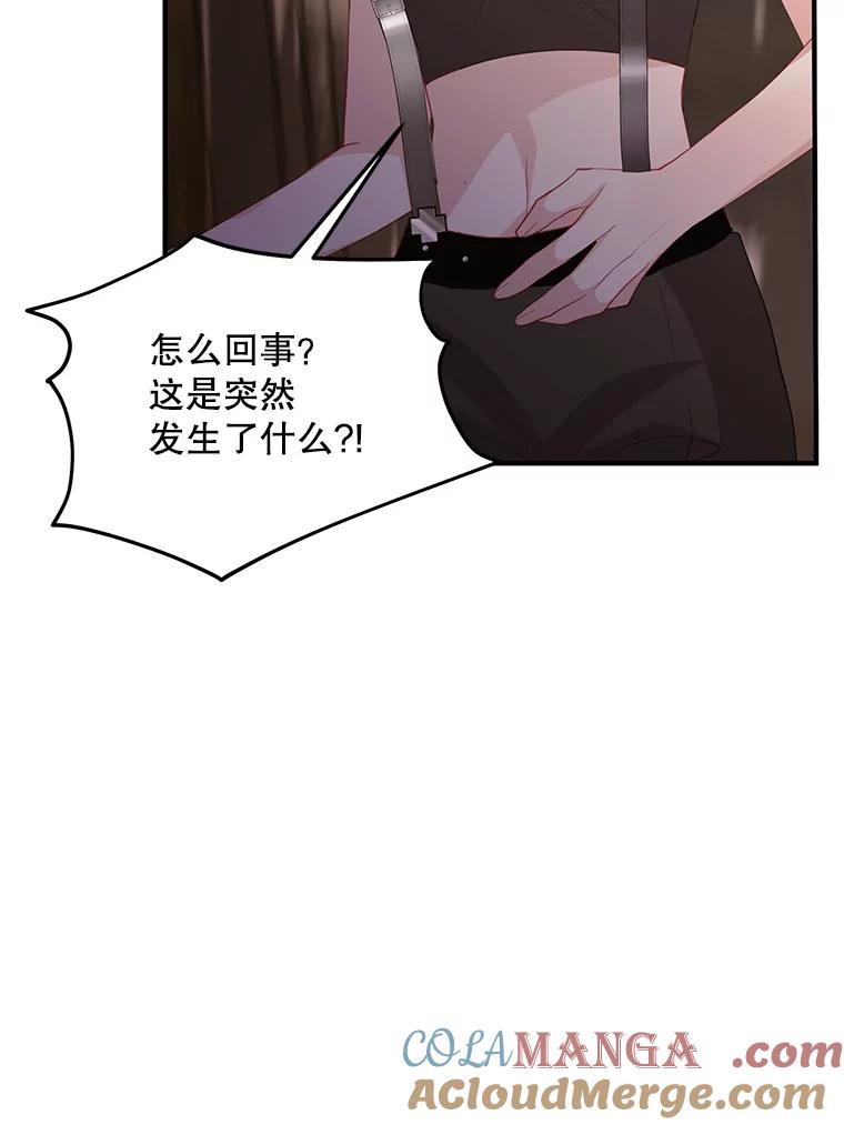 《预知未来的洛琳》67.再次被抓走 第5页