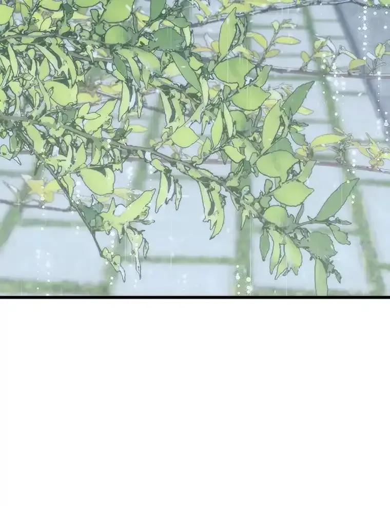 《第二个丈夫》81.对话 第54页