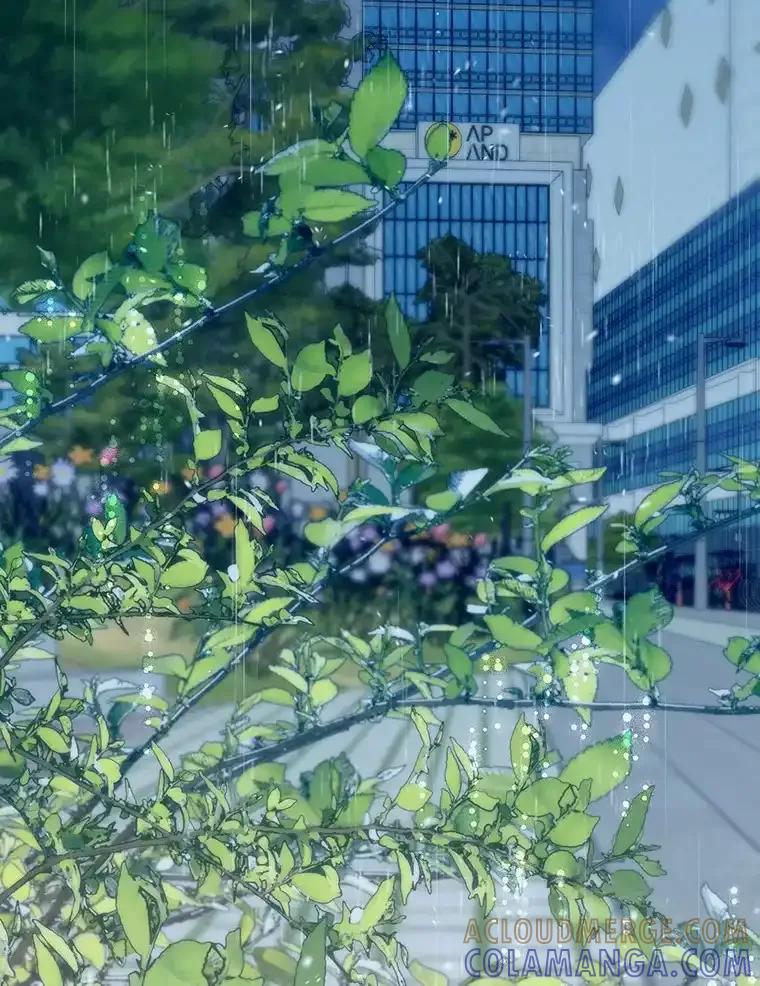 《第二个丈夫》81.对话 第53页