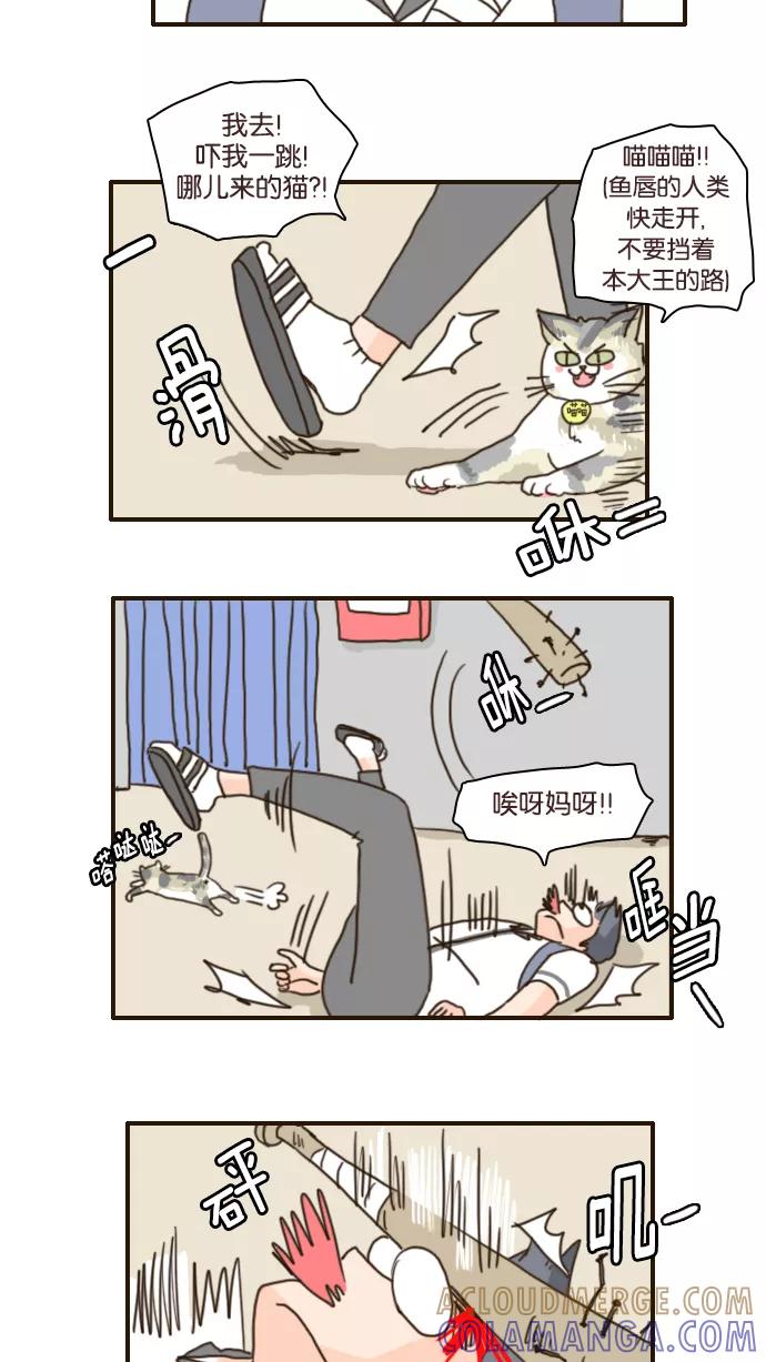 《假小子闯男高》[第100话] 这样应该谁都看不出来了 第19页
