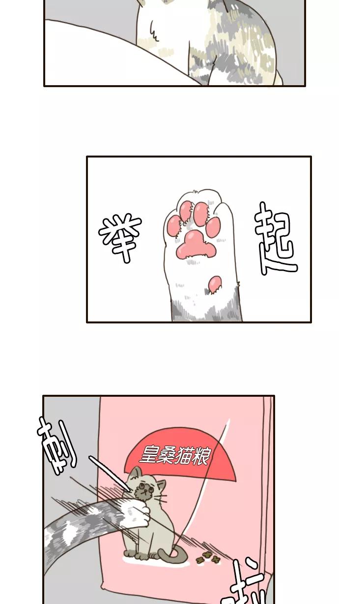 《假小子闯男高》[第110话] 我喜欢的人是你！ 第16页