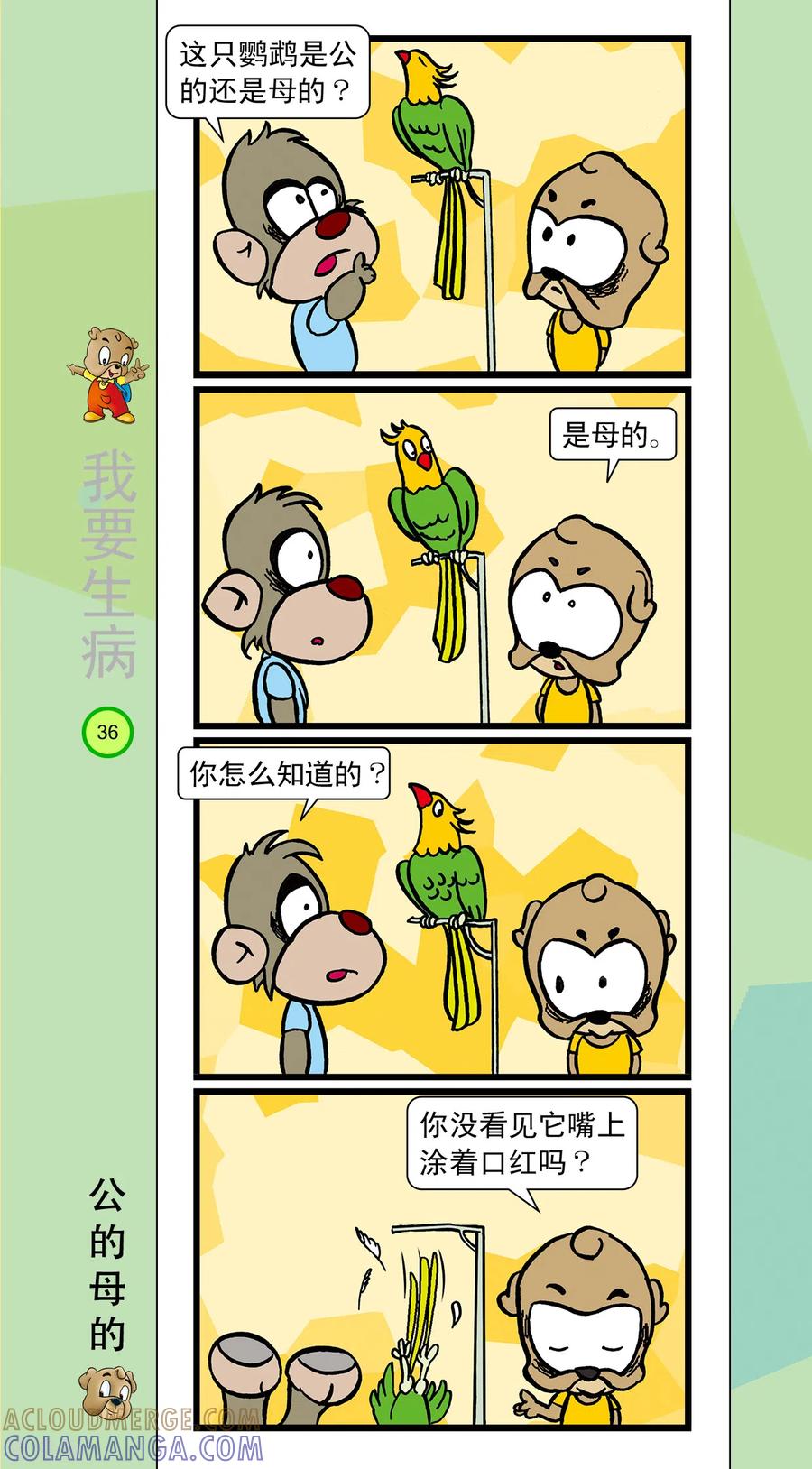 虹猫蓝兔笑画嘉年华 第36话 第3页