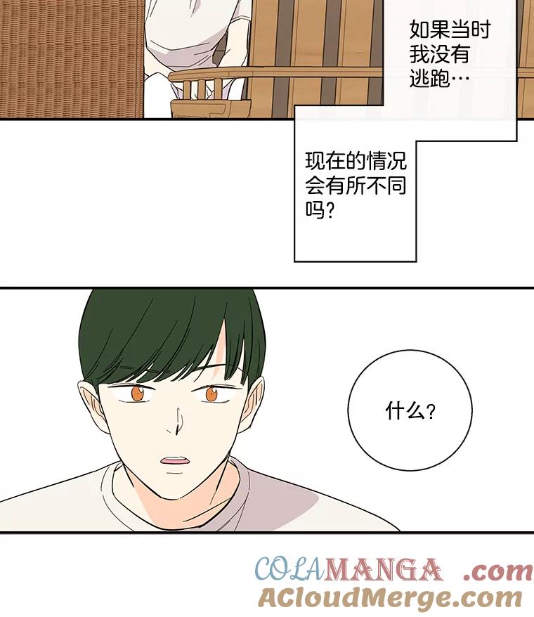 《追逐光的爱恋》59.英雄救美 第13页