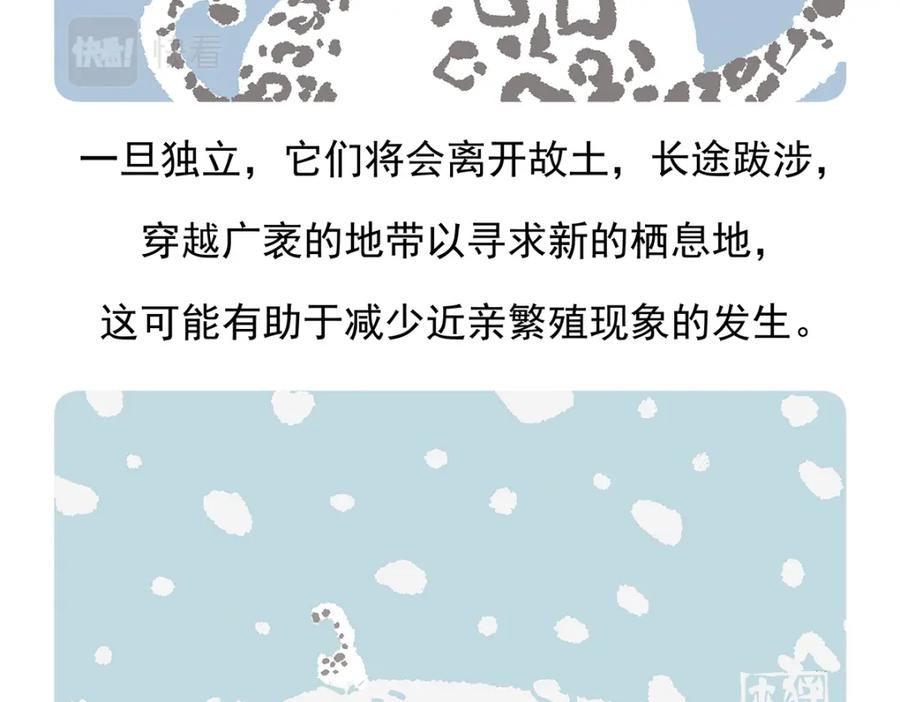 《胖达x胖达》第97话 第32页