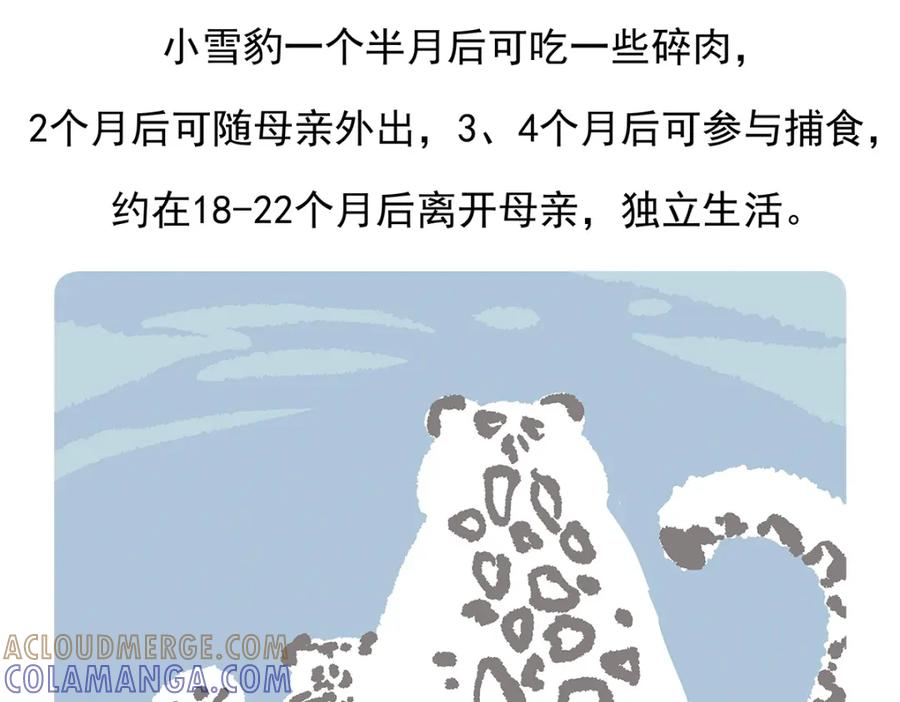 《胖达x胖达》第97话 第31页