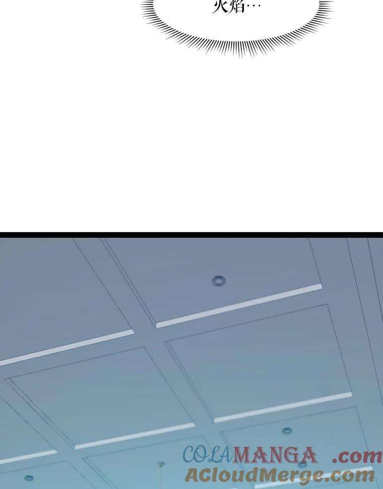 《被点赞的猎人》66.狄安赞的等级 第117页