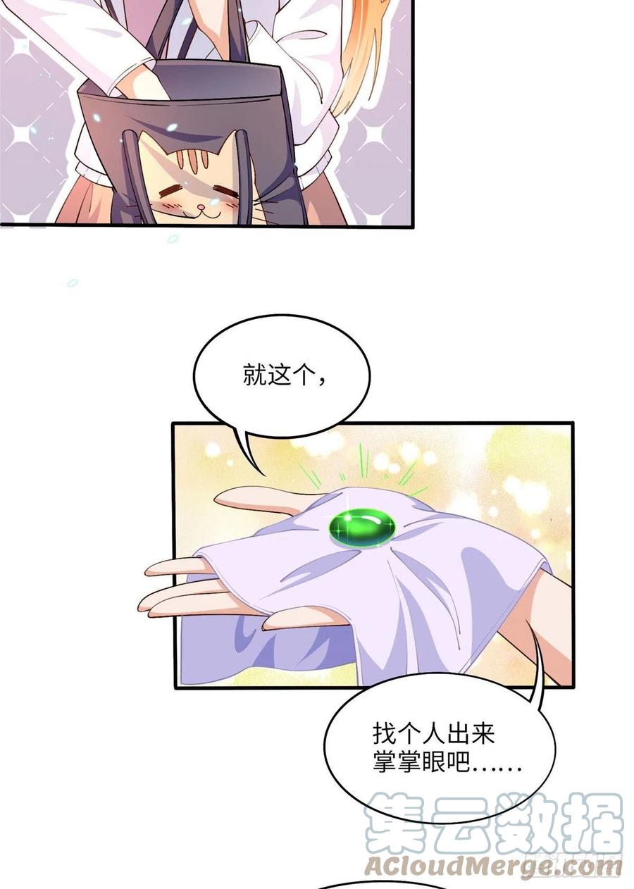 豪门BOSS竟是女高中生！ 010 倚翠轩 第28页