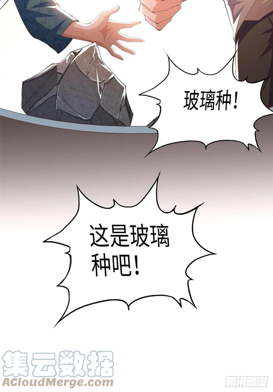 豪门BOSS竟是女高中生！ 022 现场直播赌石3VS3！ 第27页
