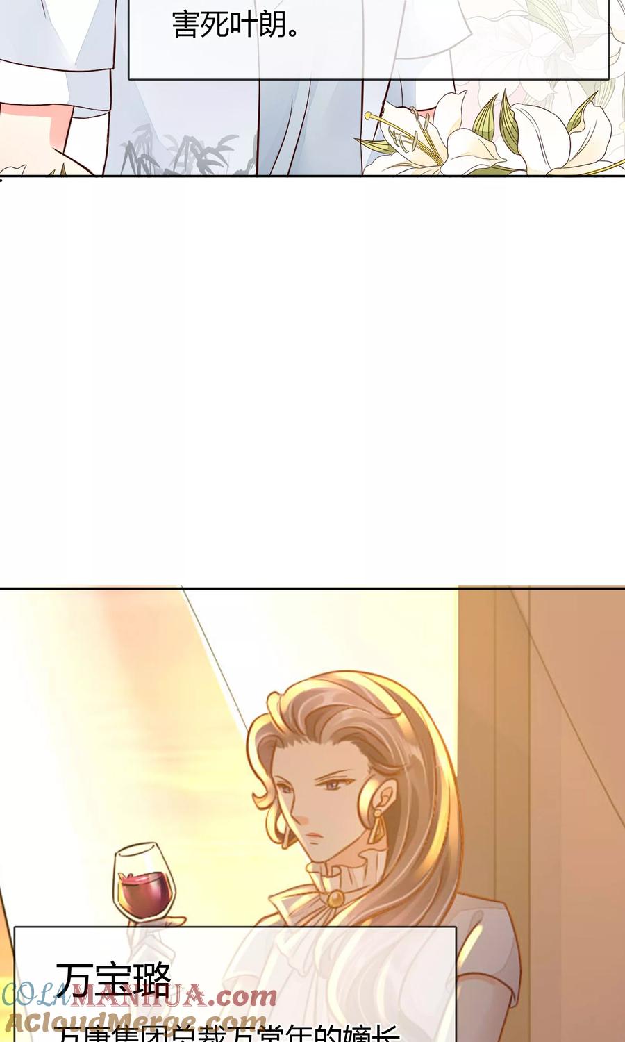 《豪门BOSS天价妻》番外 人物设定 第13页