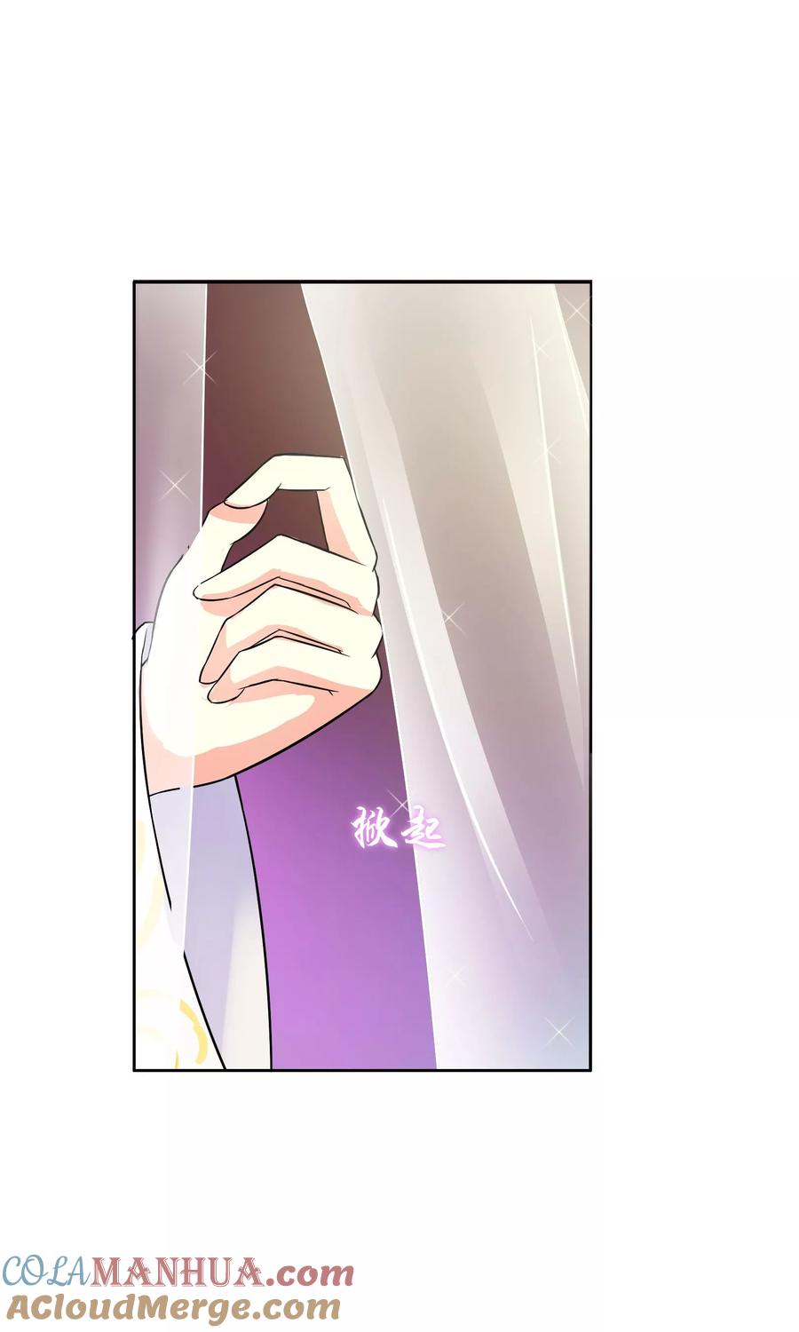 《豪门BOSS天价妻》番外下 采花贼 第17页
