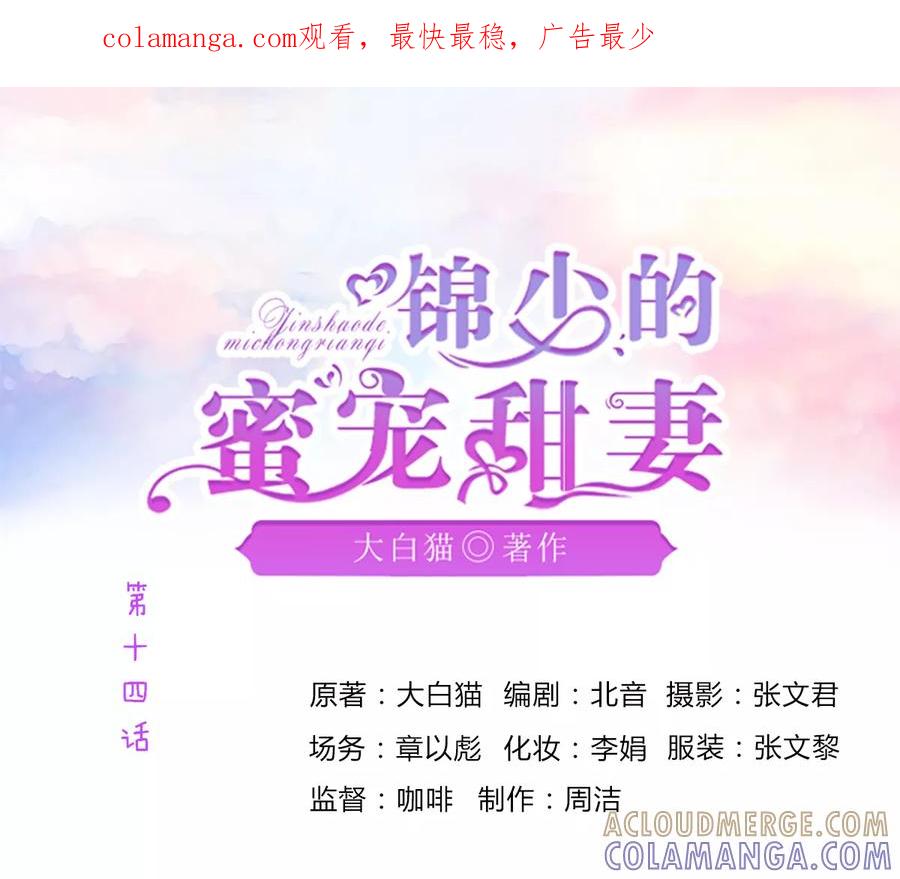 《锦少的蜜宠甜妻》第14话 第1页