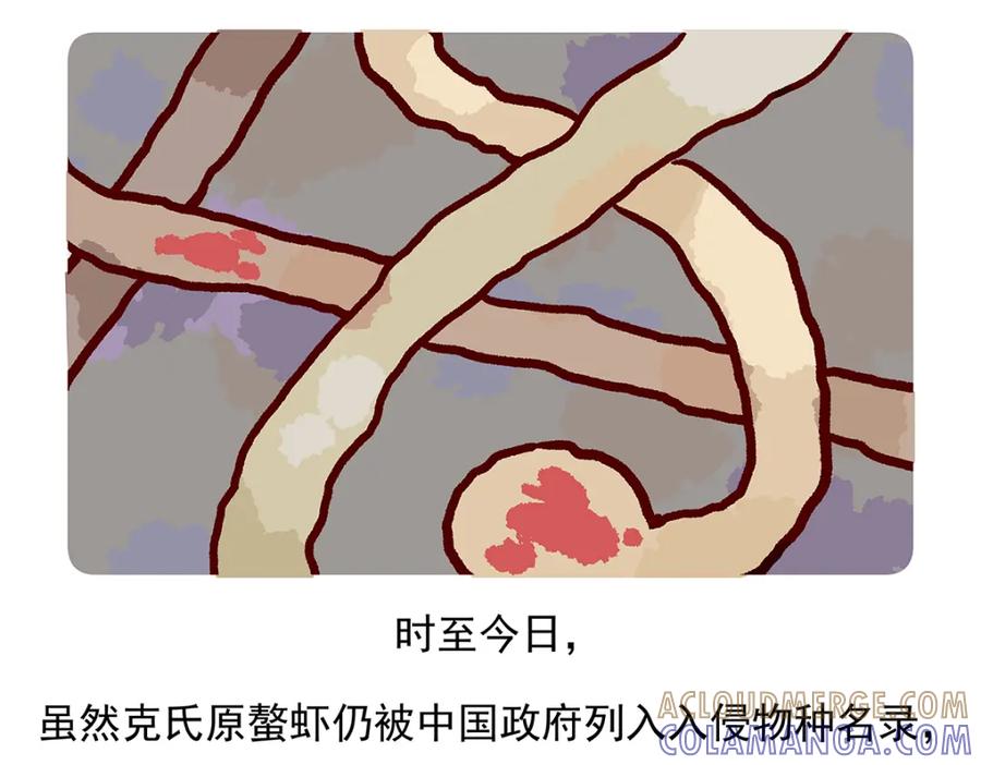 《胖达x胖达》第72话 第31页