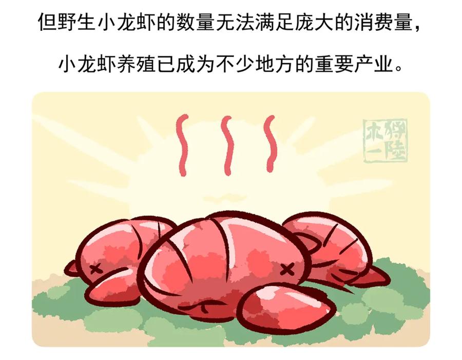 《胖达x胖达》第72话 第32页