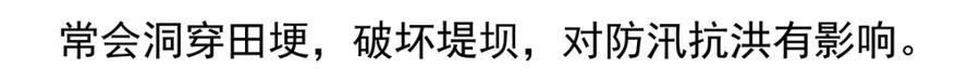 《胖达x胖达》第72话 第30页