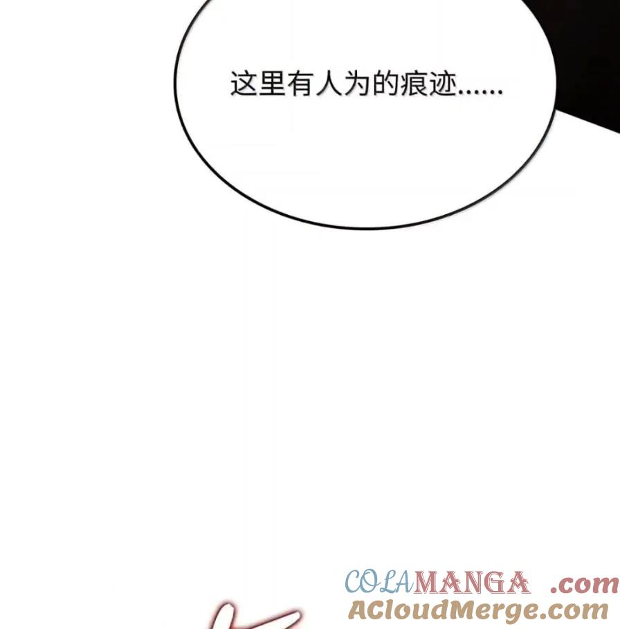 《铁血剑家猎犬的回归》111 火攻 第189页