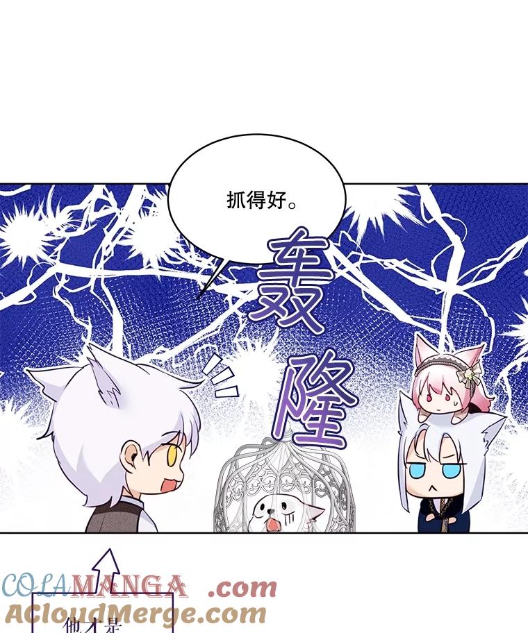 重生为神兽宝宝 - 54.得到银狐 - 第29张图