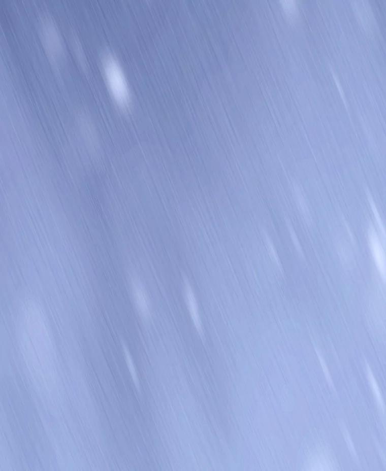 重生为神兽宝宝 - 54.得到银狐 - 第8张图