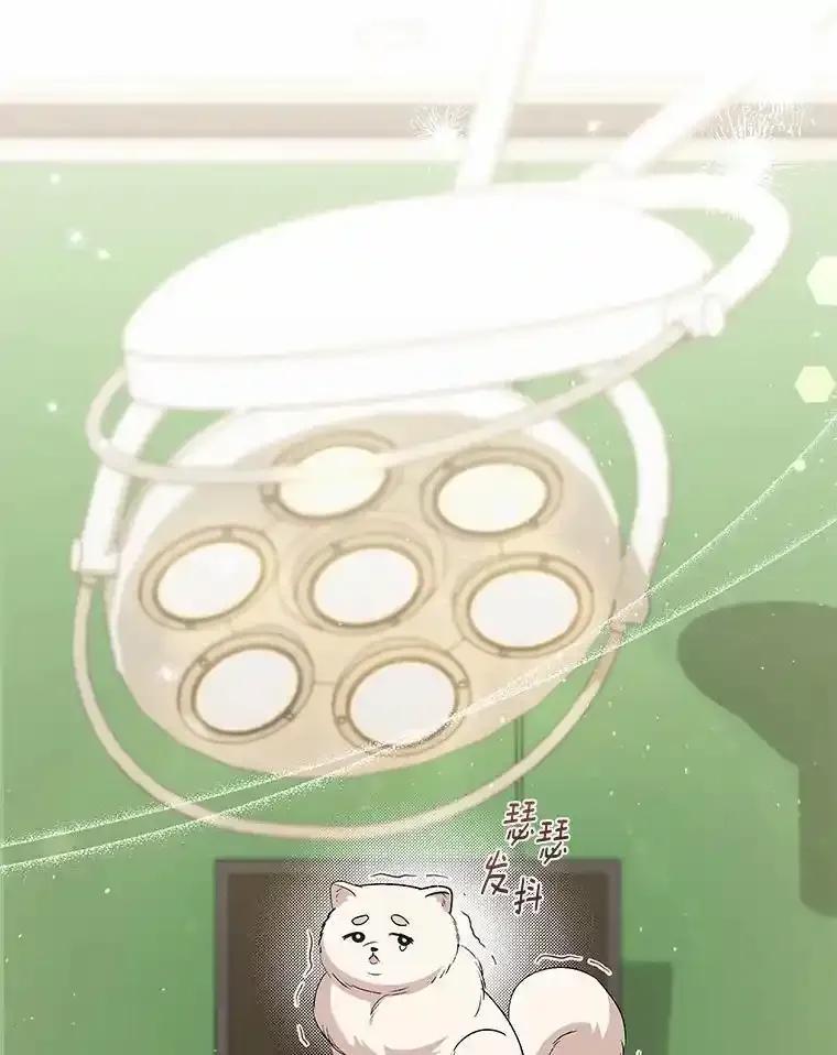 《你好？兽医先生！》63.他是骗子_ 第94页