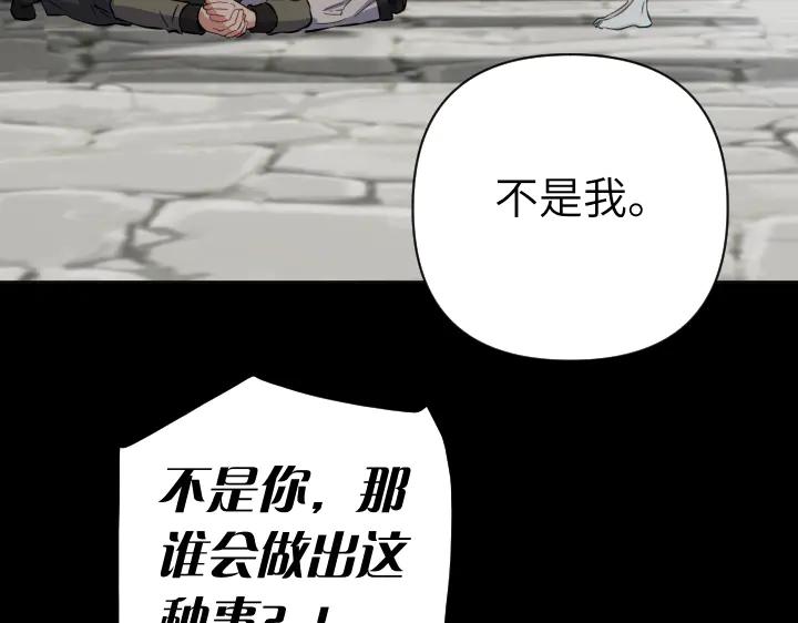 《皇子，为什么对我这么好？》第64话 为何是你承担一切 第43页