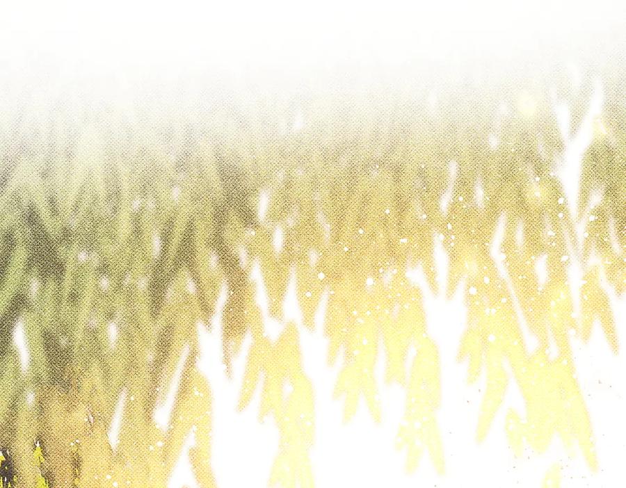 《如果疯狗拎起棍子》第43话 施压 第102页