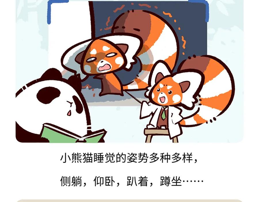 《胖达x胖达》第260话 第20页