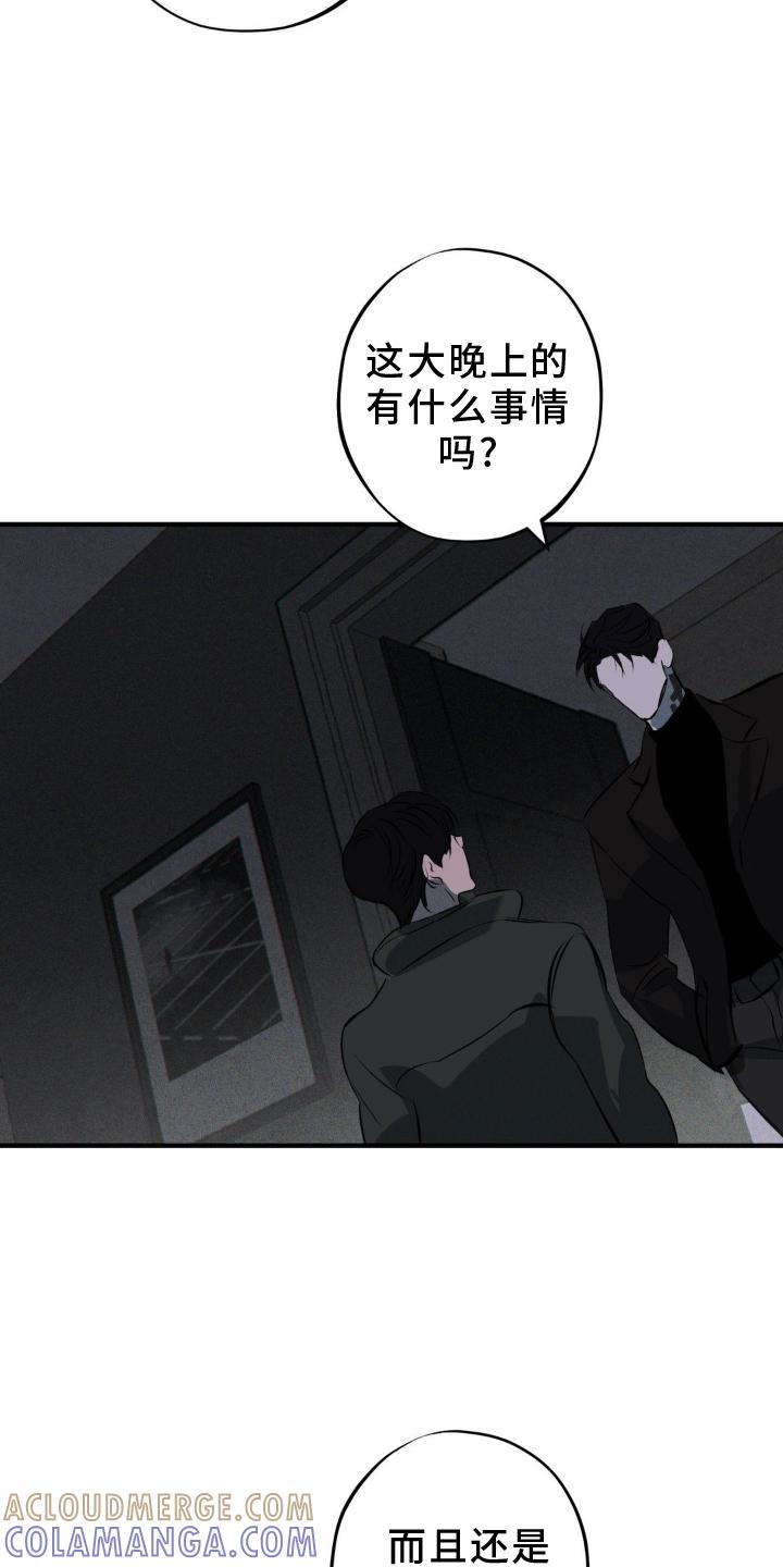 《黑城之剑》第10章：毁容 第19页