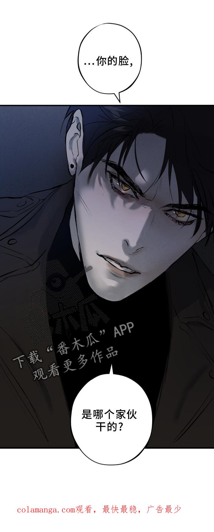 《黑城之剑》第10章：毁容 第24页