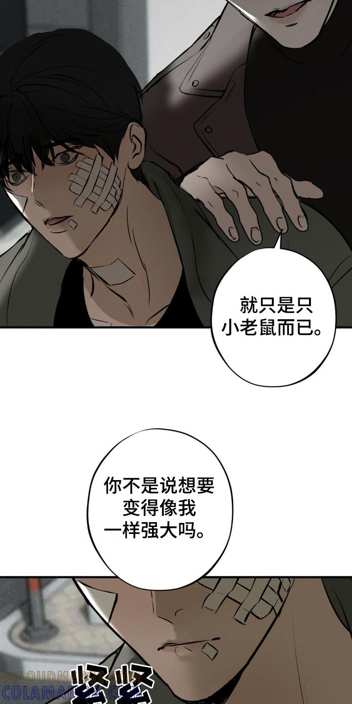 《黑城之剑》第16章：测试 第11页