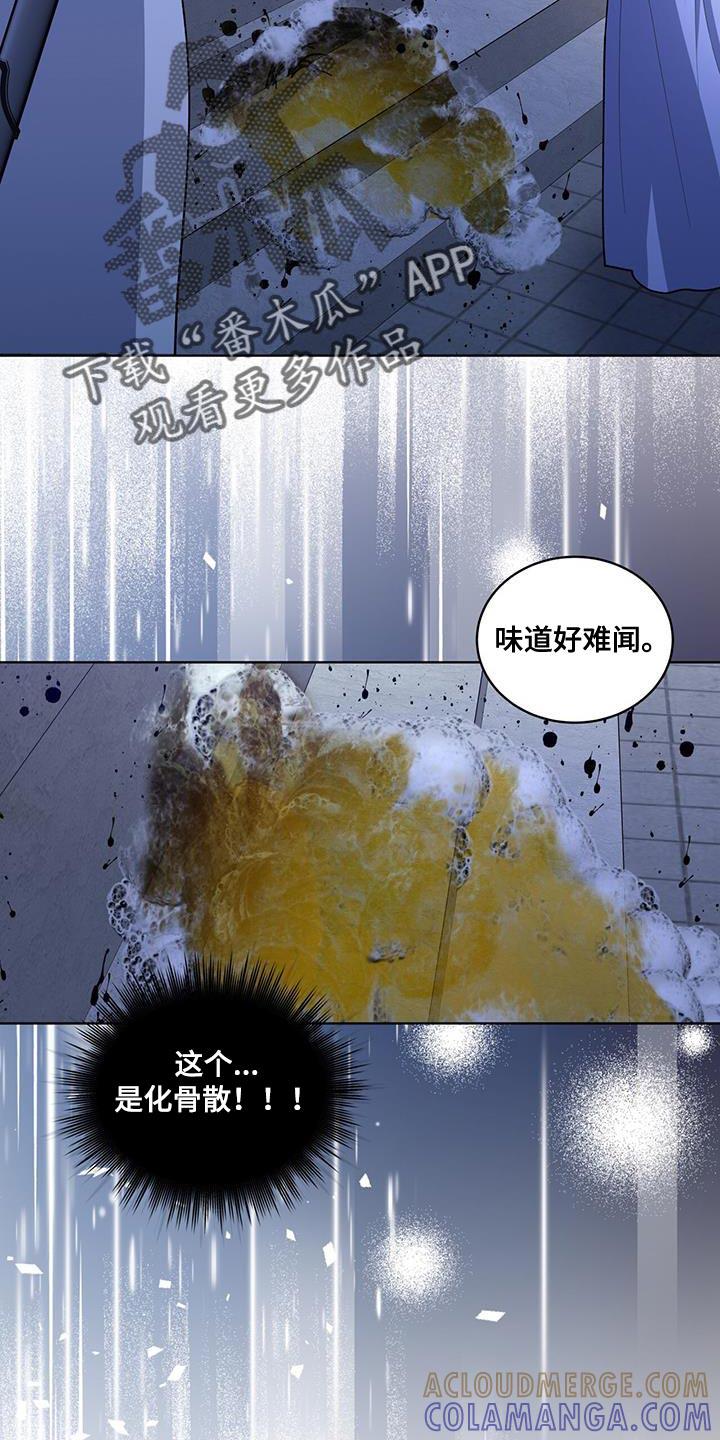 《魔影护卫》第43章：毒药 第13页